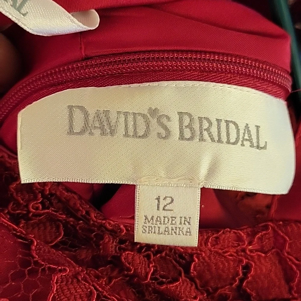 David's Bridal dark cranberry lace dress empire waist ribbontrim tieback 12 EUC… - Picture 5 of 5